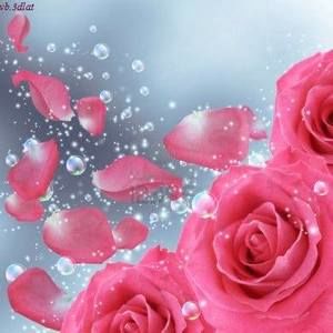 Meet your Posher, Rand